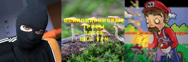 крисы Бородино