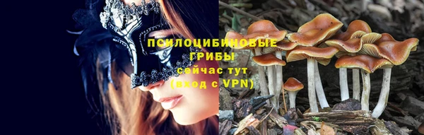 стафф Бугульма