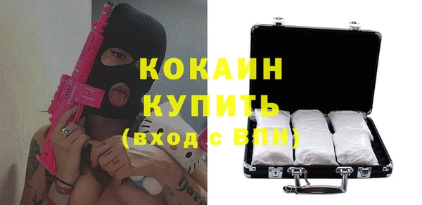 крисы Бородино