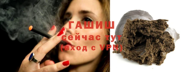 крисы Бородино