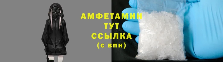 крисы Бородино