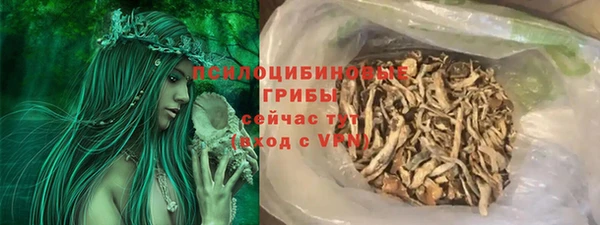 спайс Вяземский
