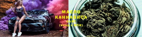 крисы Бородино